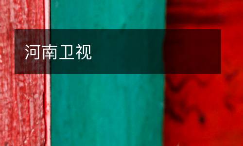 河南衛(wèi)視