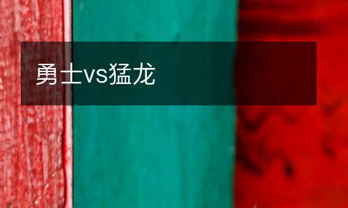 勇士vs猛龍
